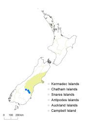Cardamine thalassica distribution map based on databased records at AK, CHR, OTA & WELT.
 Image: K.Boardman © Landcare Research 2018 CC BY 4.0